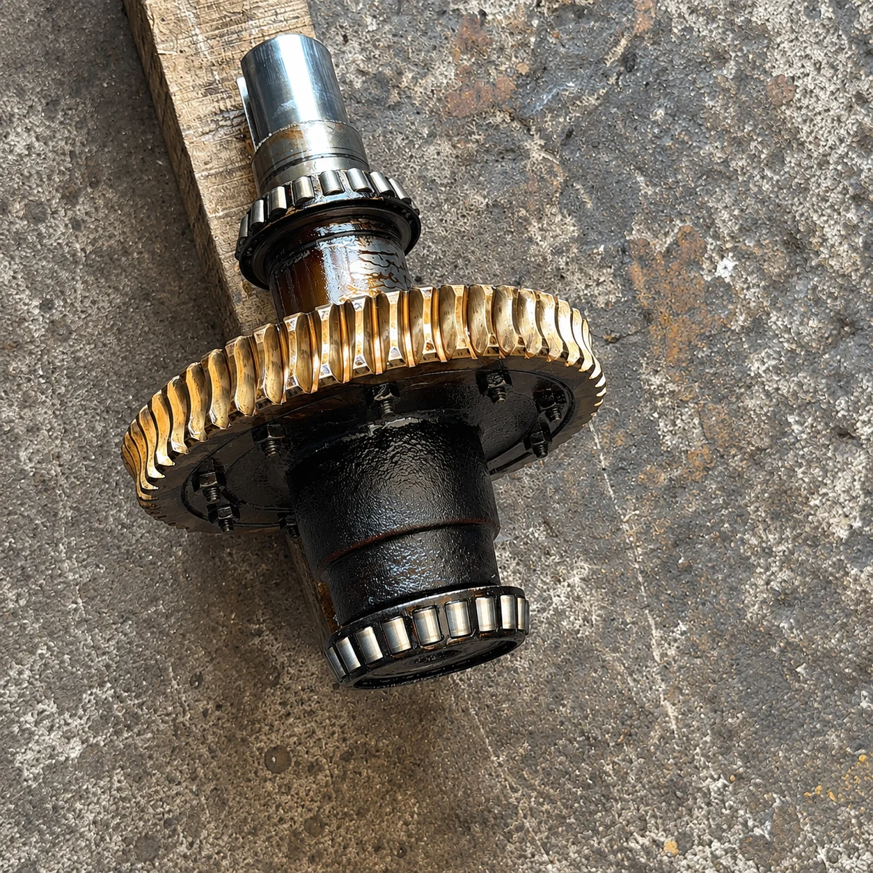 Corona de bronce con tornillo sinfín para caja reductora